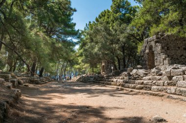 Phaselis antik kentinde merkezi bir antik caddenin kalıntıları içinde