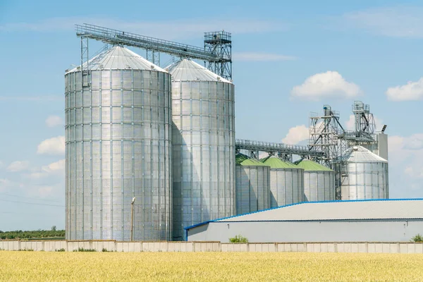 Moderner Getreideaufzug Einem Grünen Weizenfeld Konzept Zur Lagerung Landwirtschaftlicher Nutzpflanzen — Stockfoto