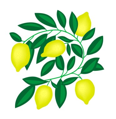 Yeşil dal üzerinde sarı limon