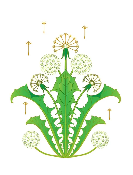 Diente León Aislado Sobre Fondo Blanco — Vector de stock