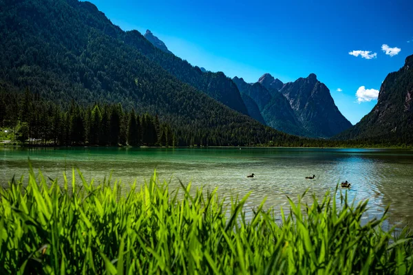 Lago Dobbiaco Las Dolomitas Hermosa Naturaleza Italia Paisaje Natural Alpes — Foto de Stock