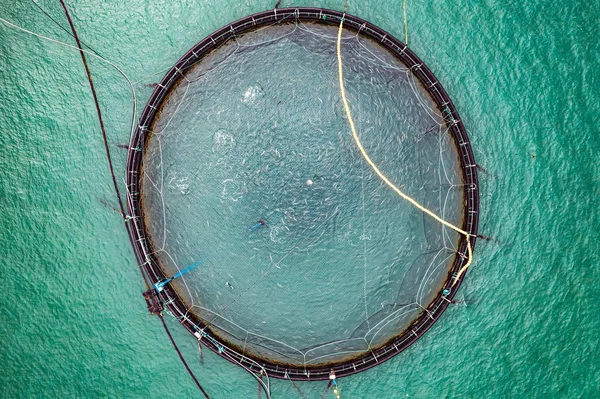 Farma łososi, wędkowanie w Norwegii — Zdjęcie stockowe