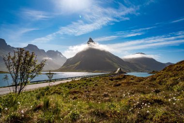 Fredvang Köprüleri Panorama Lofoten adaları