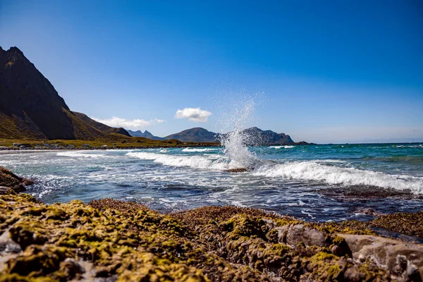 Lofoten archipelago islands beach — Stock Photo, Image