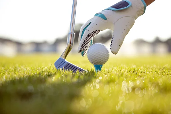 Mão na luva colocando bola de golfe no tee — Fotografia de Stock
