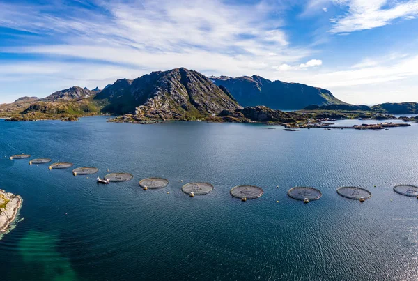 Farma lososů, rybaření v Norsku — Stock fotografie