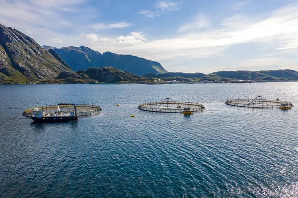 Farm salmon fishing in Norway — Stock Photo, Image