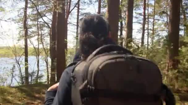 Senderismo mujer caminar con una mochila de senderismo en primavera verde bosque — Vídeos de Stock