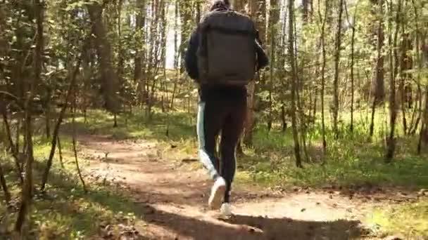 Caminhada mulher andar com uma mochila caminhadas na primavera floresta verde — Vídeo de Stock