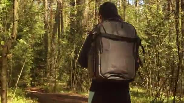 Wandelende vrouw wandelen met een wandelrugzak in het voorjaar groen bos — Stockvideo
