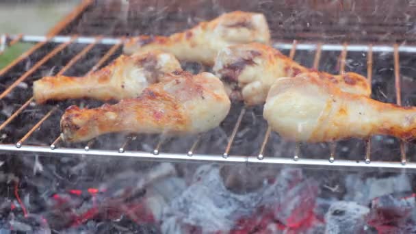 Barbacoa de pollo a la parrilla cocinada con un primer plano de fuego — Vídeo de stock