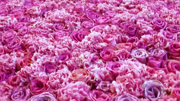 Фон з натуральних троянд крупним планом — стокове відео