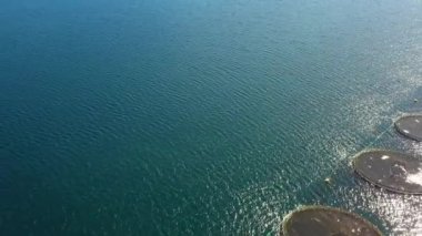 Çiftlik Norveç'te Balık tutma somon