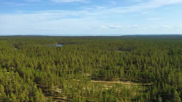 Finlandiya 'daki Göl ve Orman' ın Havadan Görünümü. Finlandiya 'nın güzel doğası. — Stok video