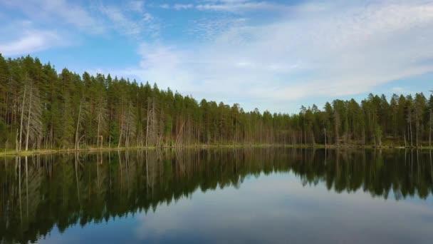 Luchtfoto van het meer en het bos in Finland. Prachtige natuur van Finland. — Stockvideo