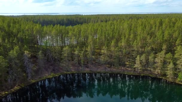 Αεροφωτογραφία της λίμνης και του Δάσους στη Φινλανδία. Όμορφη φύση της Φινλανδίας. — Αρχείο Βίντεο