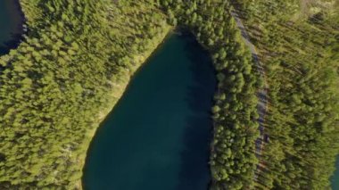 Finlandiya 'daki Göl ve Orman' ın Havadan Görünümü. Finlandiya 'nın güzel doğası.