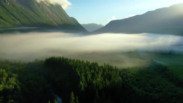 Névoa da manhã sobre o vale entre as montanhas à luz do sol. Nevoeiro e bela natureza das filmagens aéreas da Noruega. — Vídeo de Stock