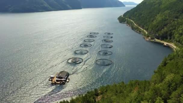 Imágenes aéreas Granja de pesca de salmón en Noruega — Vídeo de stock