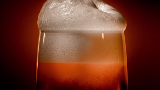 Lager bier komt tot rust in het glas met een witte dop van schuim — Stockvideo