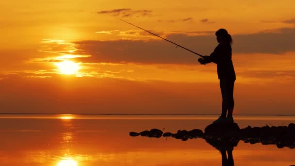 Woman fishing on Fishing rod spinning at sunset background. — Stock Video