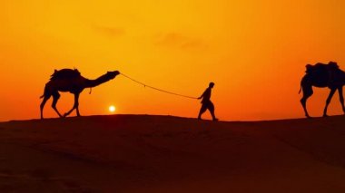 Cameleers, deve sürücüleri gün batımında. Günbatımında çöl Jaisalmer, Rajasthan, Hindistan.