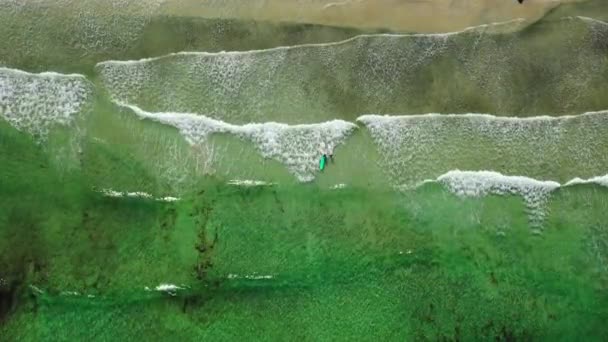 Deux surfeurs dans la mer, vue de dessus. Norvège Lofoten Islands — Video