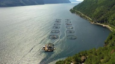 Norveç 'te somon balıkçılığının hava görüntüleri