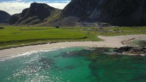 Beach Lofoten Islands é um arquipélago no condado de Nordland, Noruega . — Vídeo de Stock