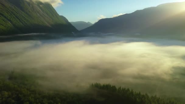 Morgennebel über dem Tal zwischen den Bergen im Sonnenlicht. Nebel und die schöne Natur Norwegens aus der Luft. — Stockvideo