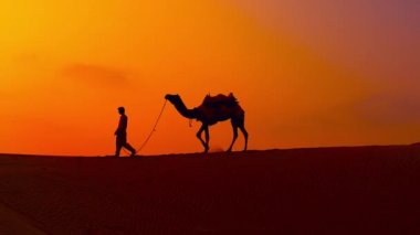 Cameleers, deve sürücüleri gün batımında. Günbatımında çöl Jaisalmer, Rajasthan, Hindistan.