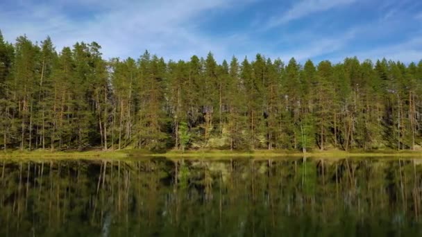 Luchtfoto van het meer en het bos in Finland. Prachtige natuur van Finland. — Stockvideo