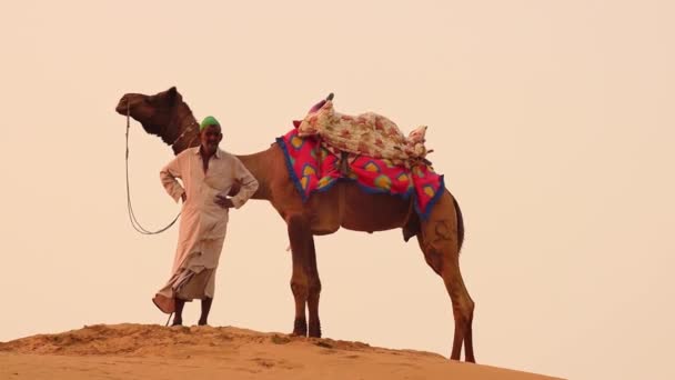 Kameleonter, kamelförare vid solnedgången. Thar öken på solnedgången Jaisalmer, Rajasthan, Indien. — Stockvideo