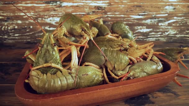 Écrevisses vivantes sur une table en bois close-up — Video