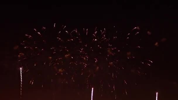 Kleurrijk vuurwerk explodeert in de nachtelijke hemel. Feesten en evenementen in felle kleuren. — Stockvideo