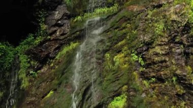 Ormanda temiz, küçük bir şelale. Güzel Doğa Norveç Doğal Arazisi.