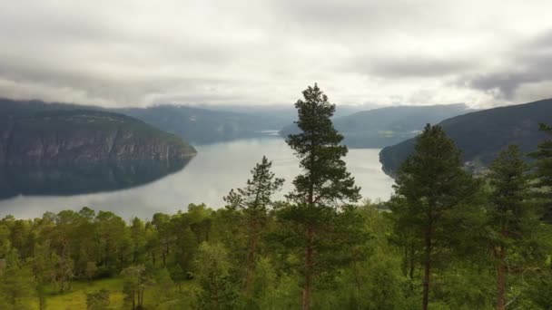Images Aériennes Belle Nature Norway — Video