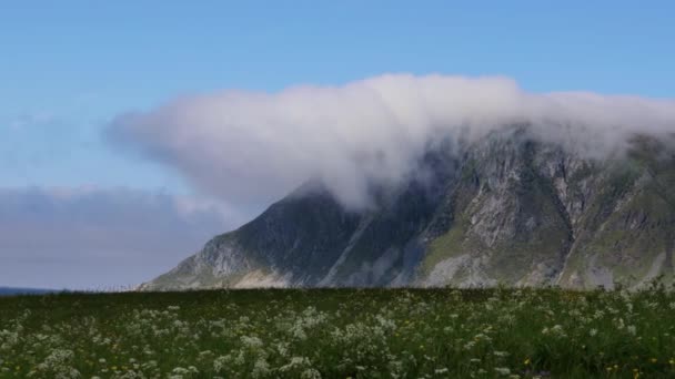 Lofoten Est Archipel Comté Nordland Norvège Est Connu Pour Paysage — Video