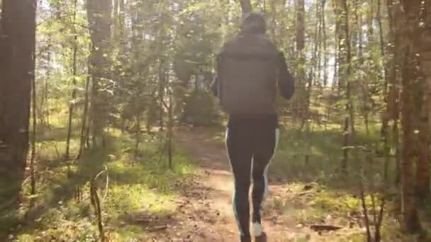 Escursione Donna Passeggiata Con Uno Zaino Trekking Nella Foresta Verde — Video Stock