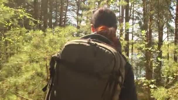 Escursione Donna Passeggiata Con Uno Zaino Trekking Nella Foresta Verde — Video Stock