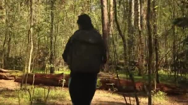 Caminhada Mulher Andar Com Uma Mochila Caminhadas Primavera Floresta Verde — Vídeo de Stock