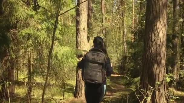 ハイキングの女性は春の緑の森の中でハイキングバックパックで歩く — ストック動画