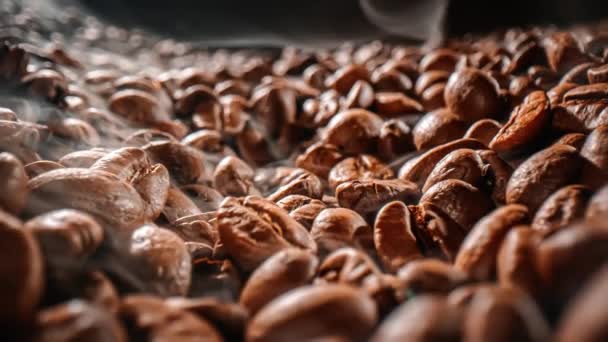 Gros Plan Des Graines Café Les Grains Café Parfumés Sont — Video