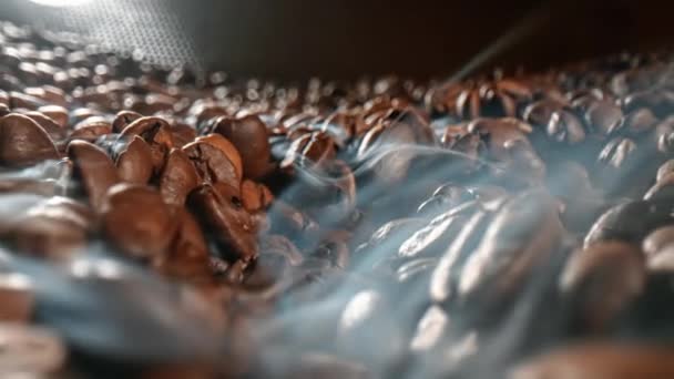 关闭咖啡的种子 香喷喷的咖啡豆是来自咖啡豆的烤烟 — 图库视频影像