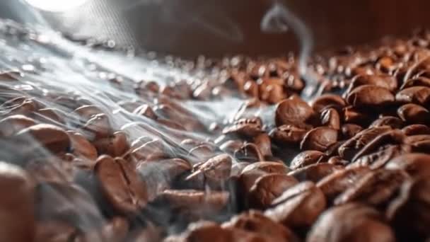 Närbild Frön Kaffe Doftande Kaffebönor Rostade Rök Kommer Från Kaffebönor — Stockvideo