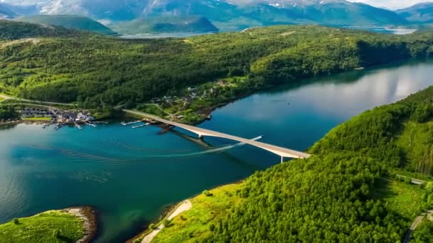 Güzel Doğa Norveç Doğal Manzarası Saltstraumen Girdabı Nordland Norveç Girdapları — Stok video