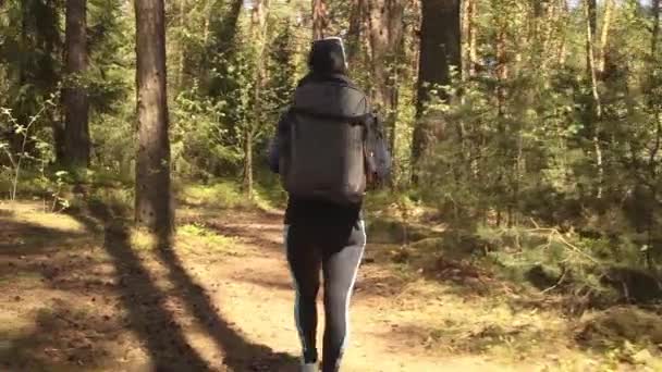 Wandelende Vrouw Wandelen Met Een Wandelrugzak Het Voorjaar Groen Bos — Stockvideo