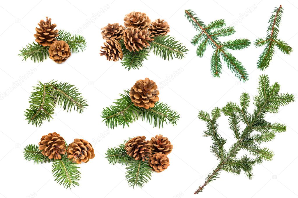 Set of christmas pine cones and branches isolated on a white background