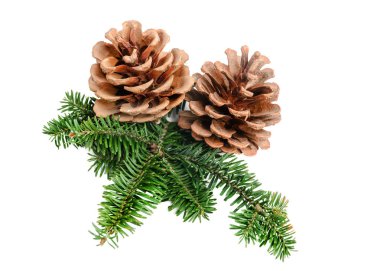 Çam ağacı dalı koni Noel dekorasyon eleman ile