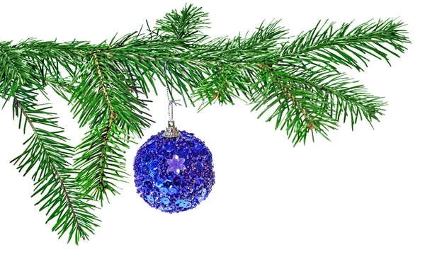 白い背景に分離した松の枝に掛かっている青いクリスマス ボール装飾 — ストック写真